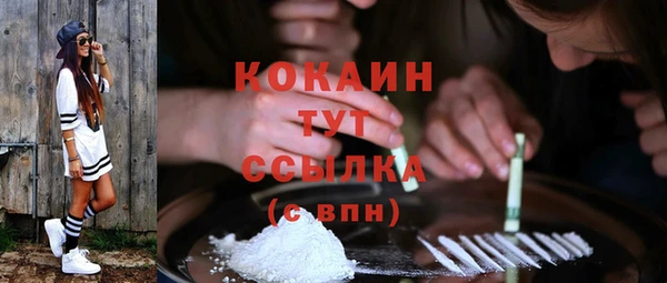 сатива Инта