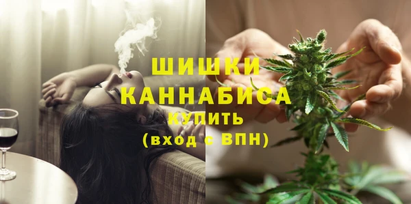 сатива Инта