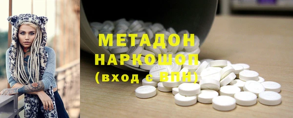 сатива Инта