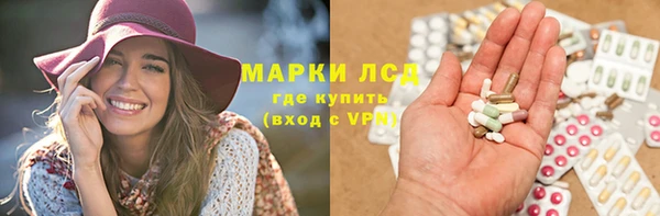 сатива Инта