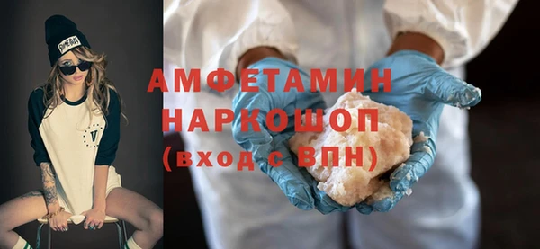 сатива Инта