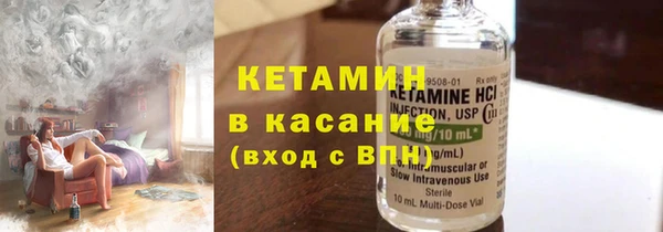сатива Инта