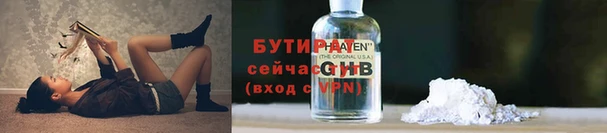 сатива Инта