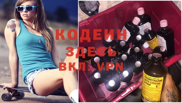 сатива Инта