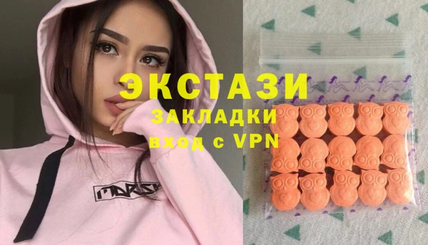сатива Инта