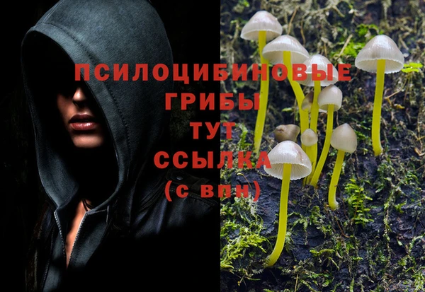 сатива Инта