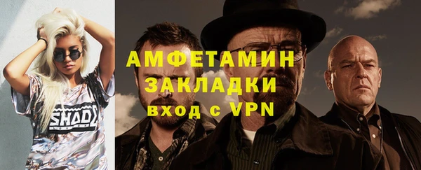 сатива Инта