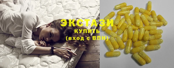 сатива Инта