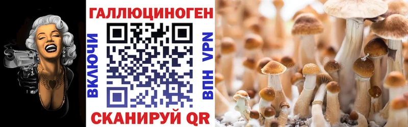 Купить  Комсомольск-на-Амуре  Псилоцибиновые грибы ЛСД 